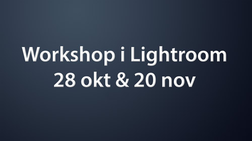 Workshop i Lightroom - 28 okt och 20 nov